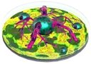 T4 Mutagen