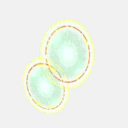 Phytoplankton B