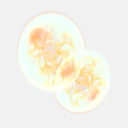 Phytoplankton C
