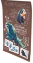 Poster F