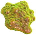 Toxic Goo