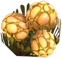 Toxic Spores