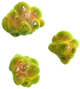 Toxins