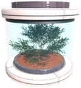 Iterra tree seed