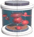 Ruberu tree seed
