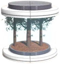 Redwo tree seed