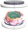 Detoxo tree seed
