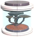 Shreox tree seed