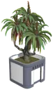 Bonzaï pot