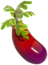 Eggplant