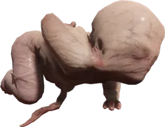 Mutant baby — Sons of the Forest