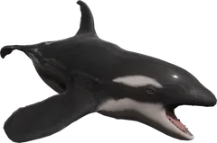 Orca — Sons of the Forest