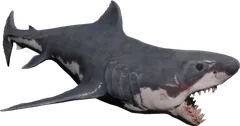 Shark — Sons of the Forest