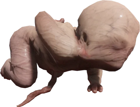 Mutant baby — Sons of the Forest