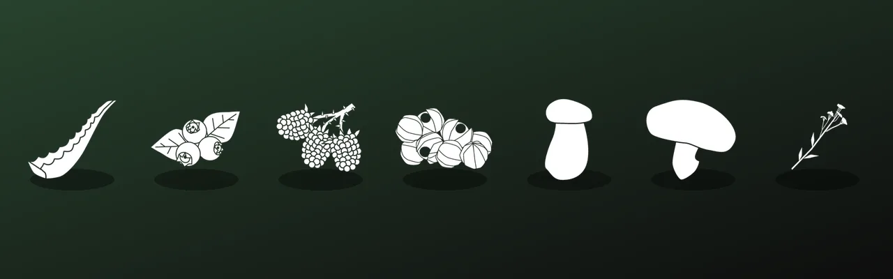 Game icons of aloe vera, blueberries, salmonberries, guarana berries, king oyster, shiitake and yarrow