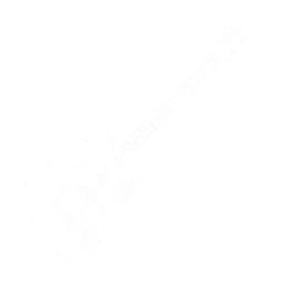 Guitar — Sons of the Forest