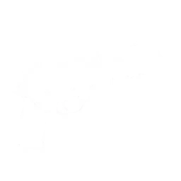 Revolver — Sons of the Forest