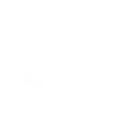 Shotgun — Sons of the Forest