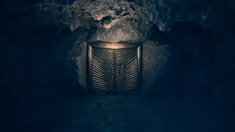 A golden, ribbed door set in the rock of a dark cave, game screenshot