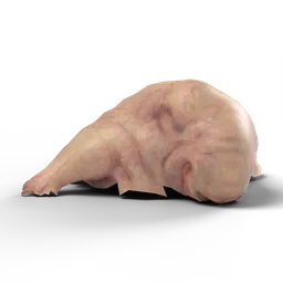 Fat mutant