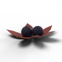TwinBerries — rendered from the game's model