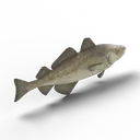 Fish — rendered from the game's model