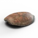 Turtle Shell — rendered from the game's model