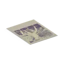 PolaroidVagz — rendered from the game's model