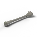Bone — rendered from the game's model