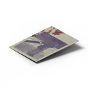 PolaroidTeddy — rendered from the game's model
