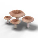 Puff Mushroom — rendered from the game's model