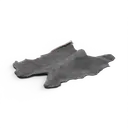 Raccoon Skin — rendered from the game's model