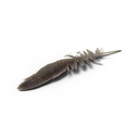 Feather — rendered from the game's model