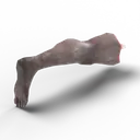 Leg — rendered from the game's model