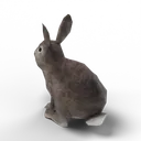 Rabbit — rendered from the game's model