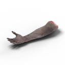 Arm — rendered from the game's model