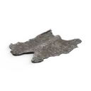 Lizard Skin — rendered from the game's model