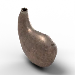 Waterskin — rendered from the game's model