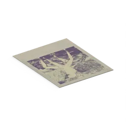 Polaroid Vagz — rendered from the game's model