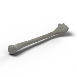 Bone — rendered from the game's model