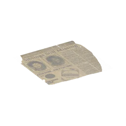 Newspaper Stripper — rendered from the game's model