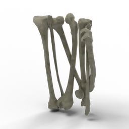 Bone Armor — rendered from the game's model