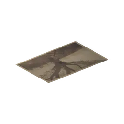 Old Photo 2 of 8 — rendered from the game's model