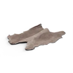 Boar Skin — rendered from the game's model