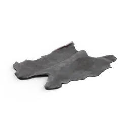 Raccoon Skin — rendered from the game's model