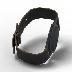 Wristwatch — rendered from the game's model