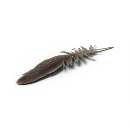 Feather — rendered from the game's model