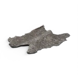 Lizard Skin — rendered from the game's model
