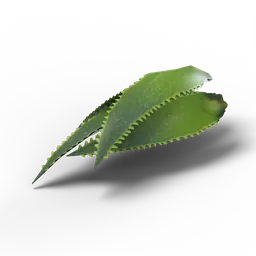 Aloe Vera — rendered from the game's model
