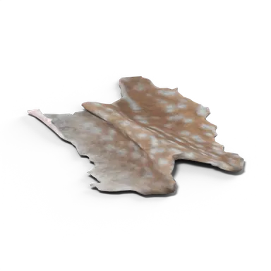 Deerskin — rendered from the game's model